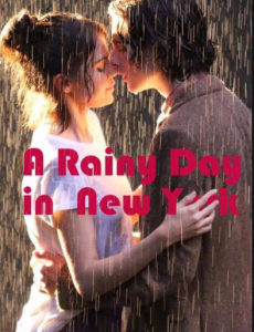 紐約的一個雨天
