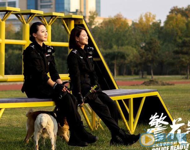 警花與警犬劇照