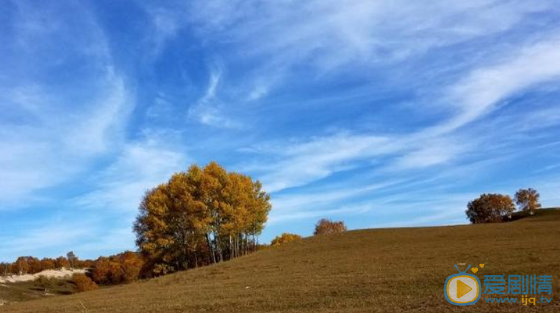如懿傳曝周迅劇照 周公子滿滿少女感