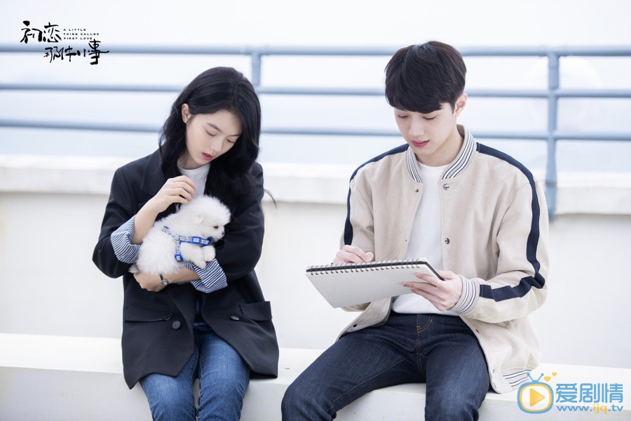 初戀那件小事夏淼淼為何要隱瞞戀情？她和梁又年的結局怎么樣？