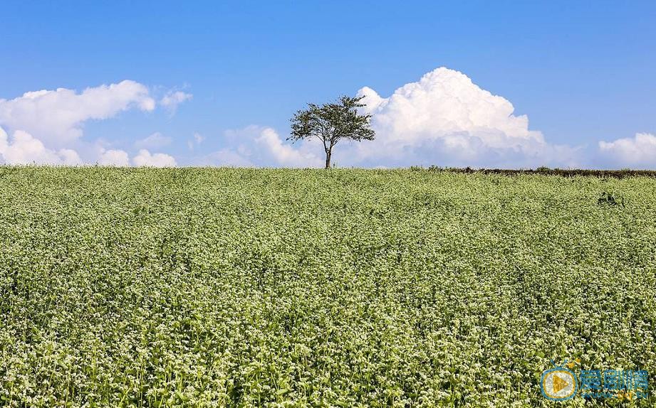 鬼怪韓國取景地大盤點 鬼怪都是在韓國什麼地方拍的