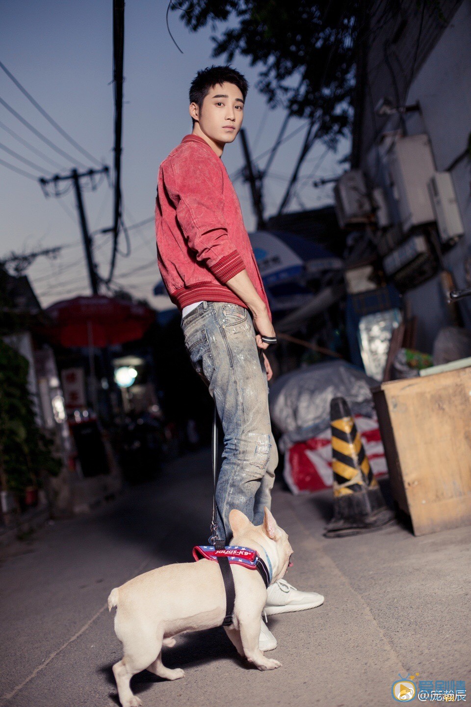 我站在橋上看風景羅智是誰演的？羅智扮演者龐瀚辰個人資料、寫真及生活照欣賞