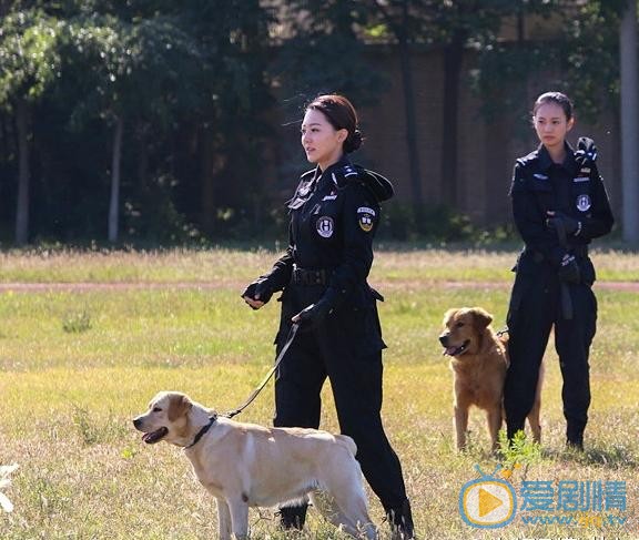 警花與警犬劇照