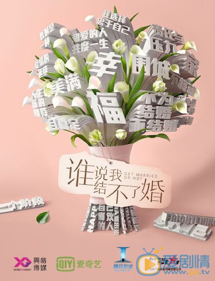 誰說我結不了婚劇情介紹