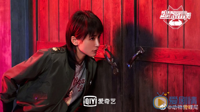 動物管理局什麼時間播_動物管理局播出時間