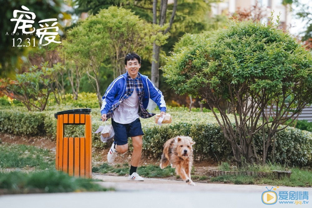 《寵愛》電影劇情介紹