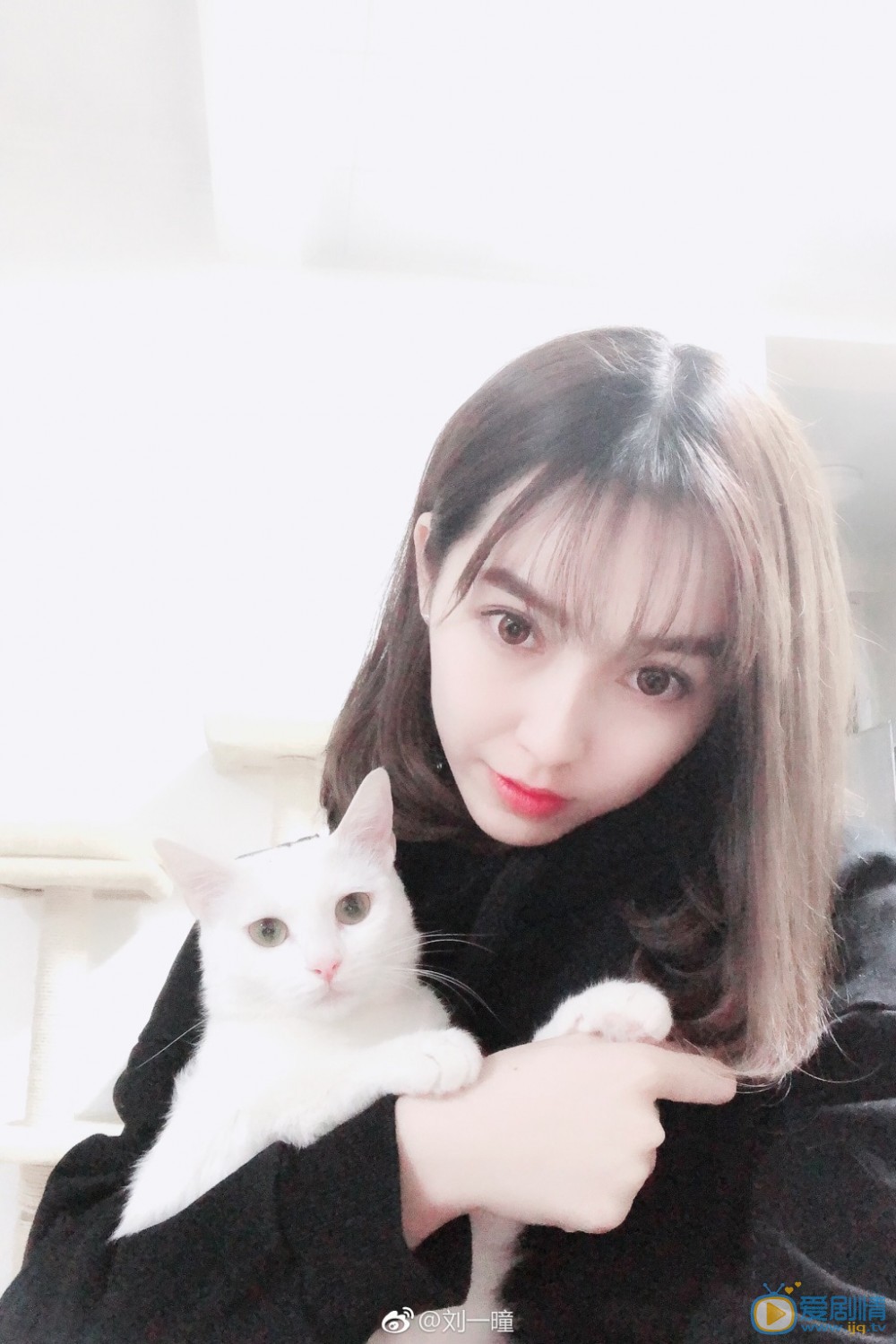 蜀山戰紀2踏火行歌齊靈雲是誰扮演的？齊靈雲扮演者劉一曈個人資料、寫真及生活照欣賞 