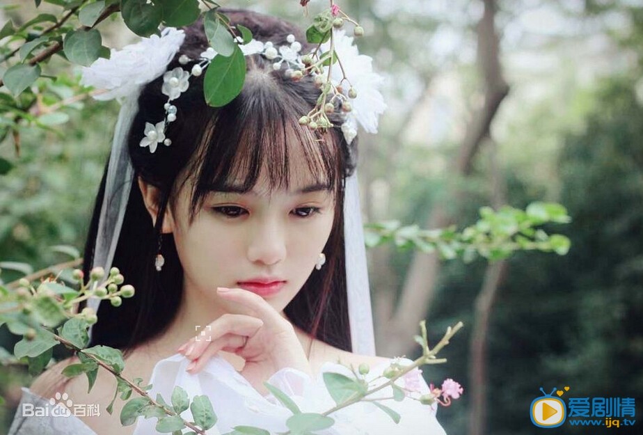 西宮之燕王的日月什麼時間播_西宮之燕王的日月播出時間