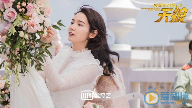 反恐特戰隊之天狼大結局怎么樣？