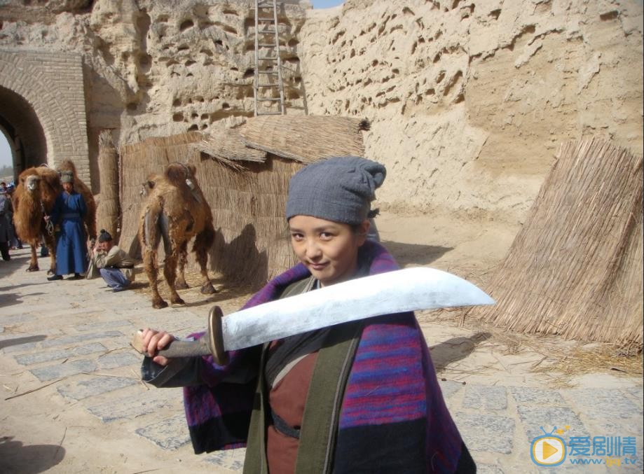 何潔個人資料簡介 何潔參演刀客外傳劇照