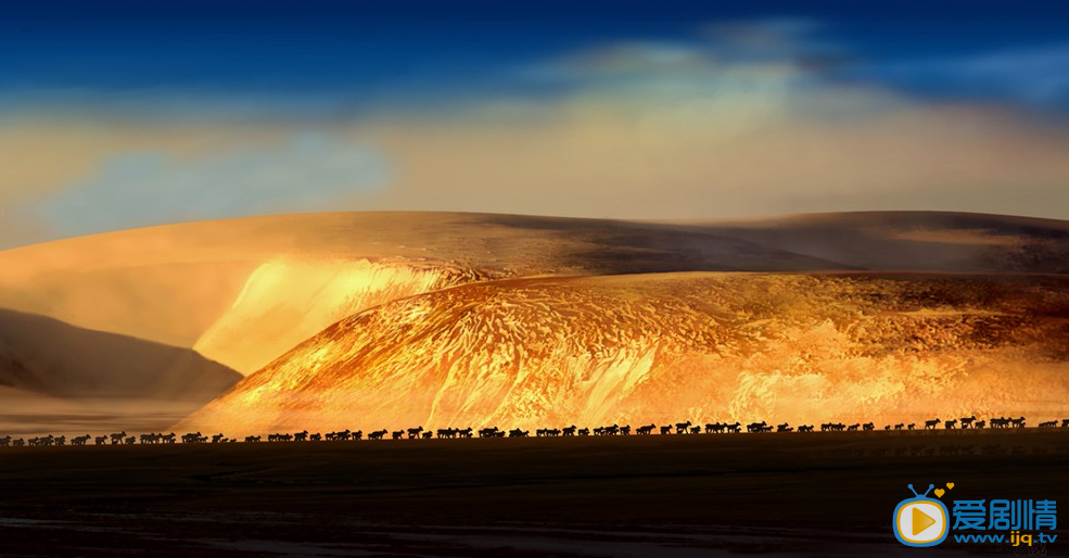 藏羚王劇情介紹
