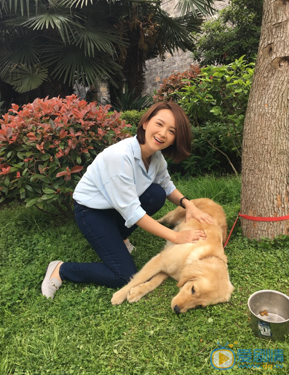 孤芳不自賞張貴妃是誰演的？張貴妃扮演者鄧莎個人資料簡介