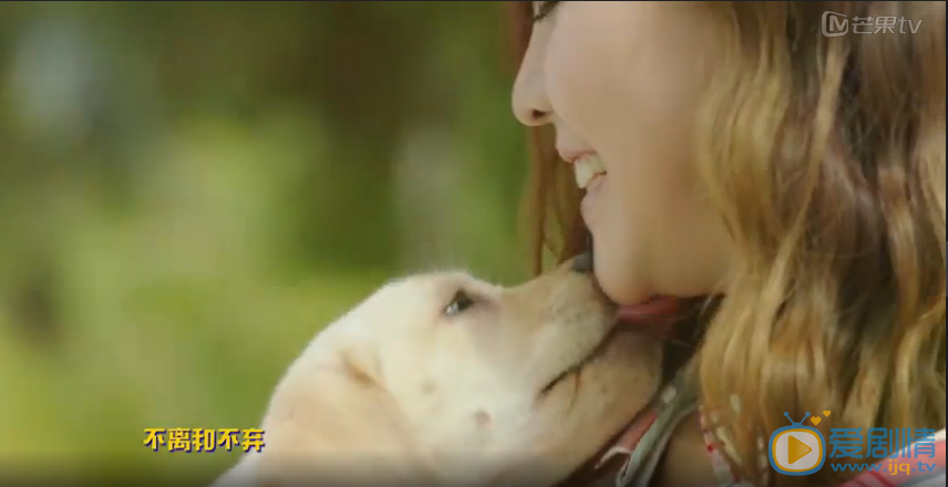 QQ截圖20160716100052