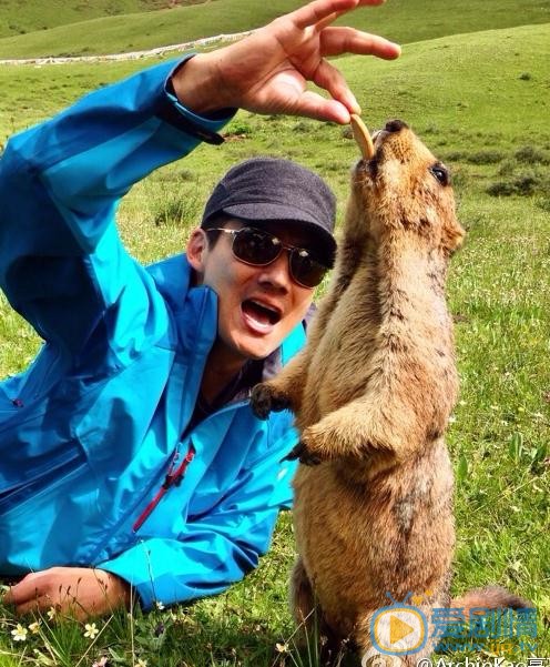 擇天記金玉律是誰扮演的?金玉律扮演者高聖遠個人資料介紹