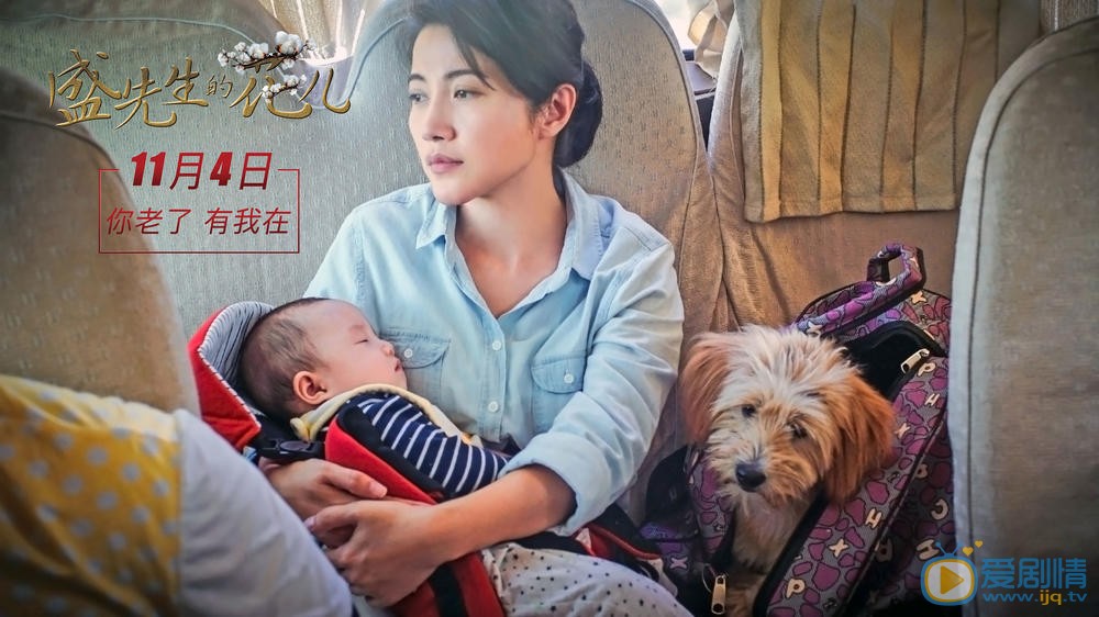 盛先生的花兒什麼時間播_盛先生的花兒播出時間