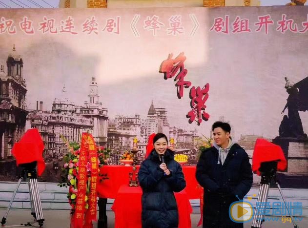 電視劇蜂巢劇情介紹