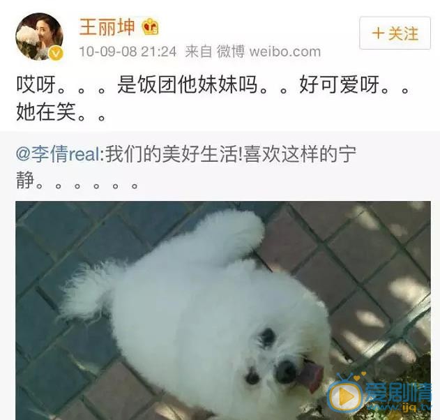 喬振宇和王麗坤在一起八年是怎么回事？喬振宇和王麗坤八年戀情是真的嗎？喬振宇王麗坤分手原因？