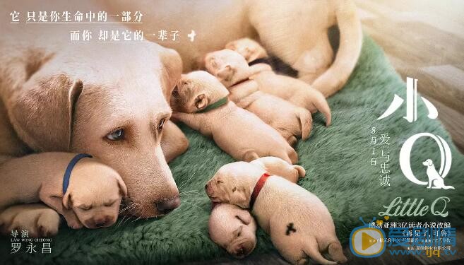 小Q海報