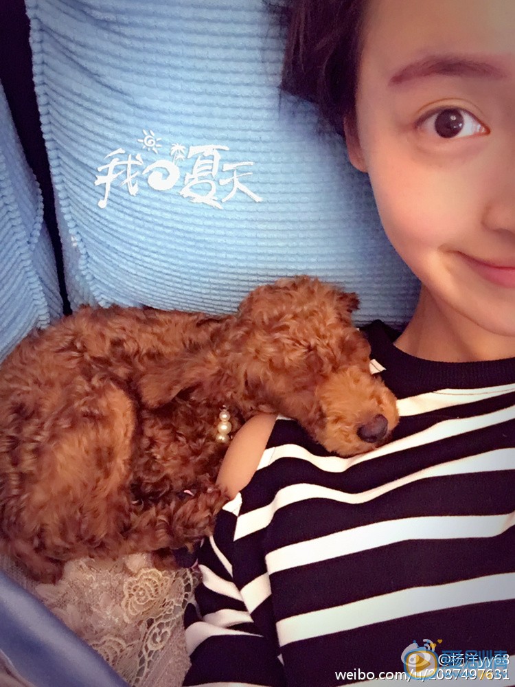 周末父母洪小米扮演者楊洋海量寫真生活照