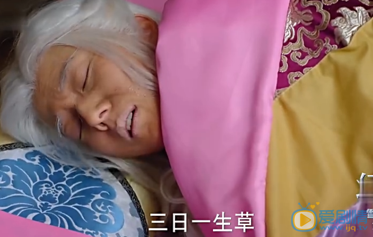 幻城分集劇情介紹