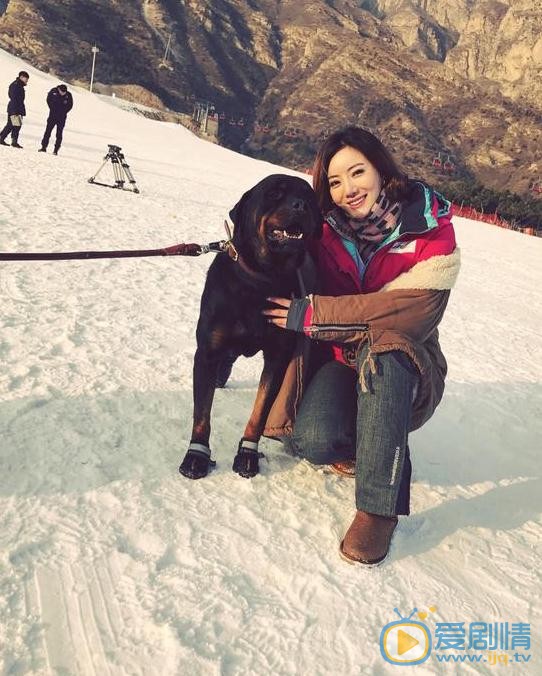 警花與警犬之再上征程顧依依是誰演的？顧依依扮演者李晨熙個人資料、寫真及生活照欣賞