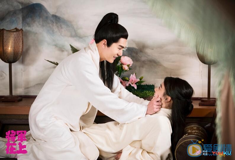 將軍在上趙玉瑾第幾集愛上葉昭?