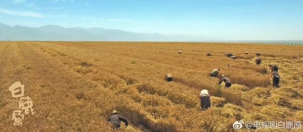 電視劇白鹿原系列美圖曝光  白鹿原真實場景氣勢恢弘
