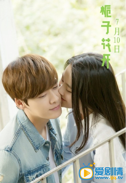 《梔子花開》燃燒版預告片曝光