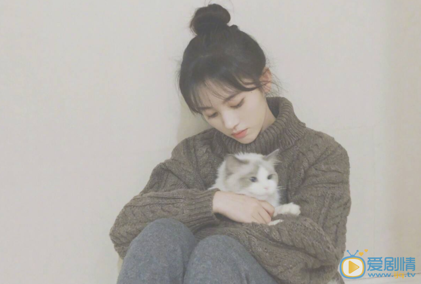 步雲衢劇情介紹