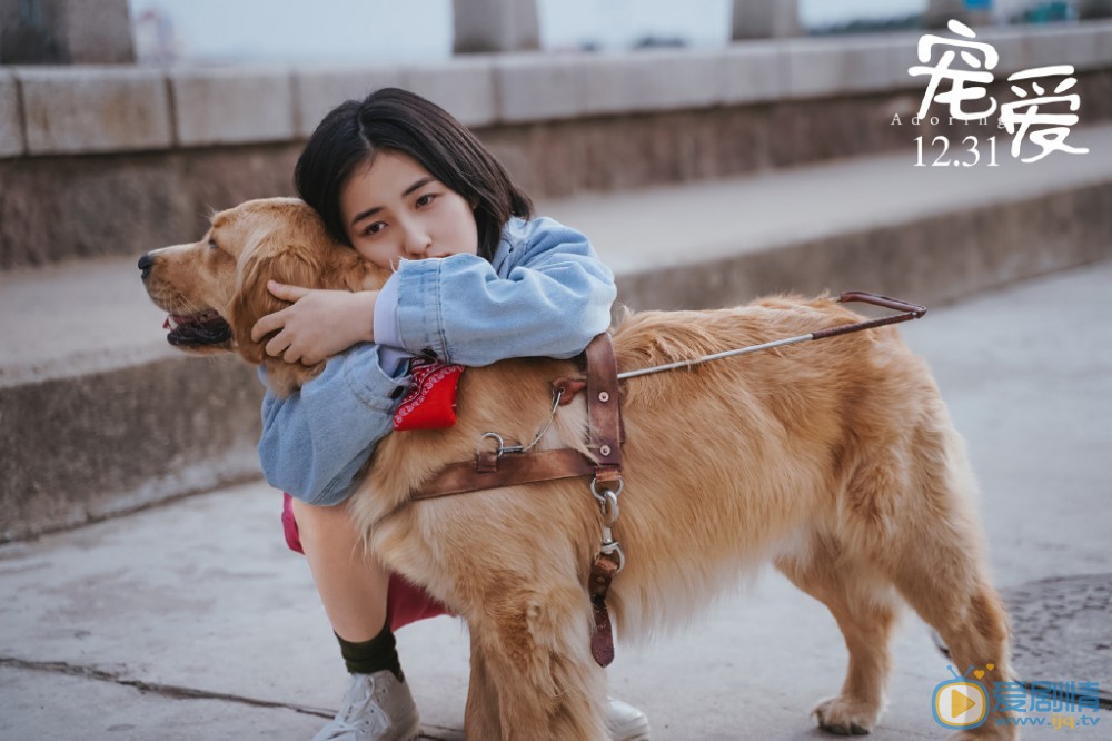 《寵愛》電影劇情介紹