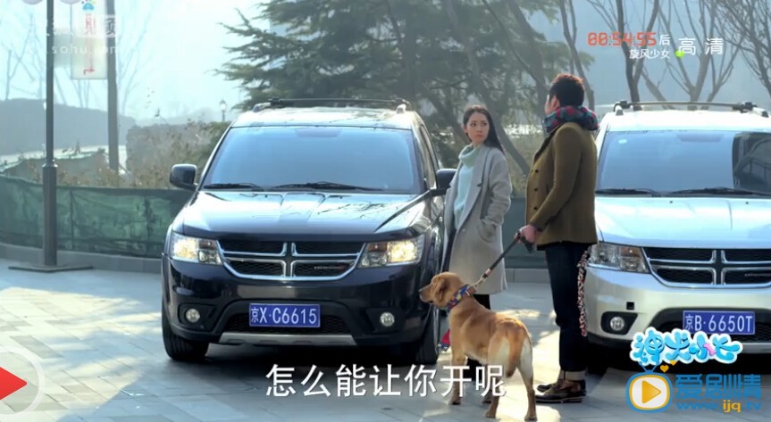 神犬小七丁涵開的什麼車？丁涵開的車價格是多少？