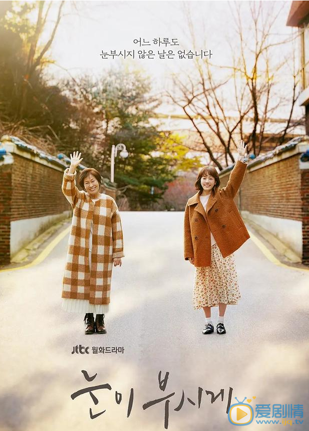 分享三部豆瓣評分9.0以上的韓劇，《浪漫的體質》2019居榜首？