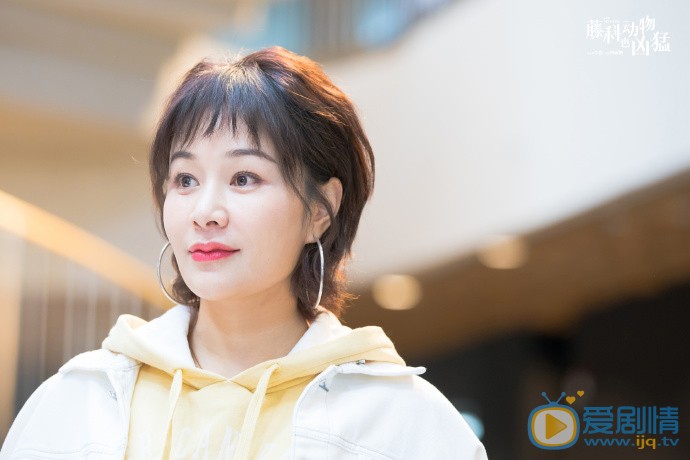 胡蓉蓉個人資料簡介 胡蓉蓉演藝經歷 胡蓉蓉寫真圖片