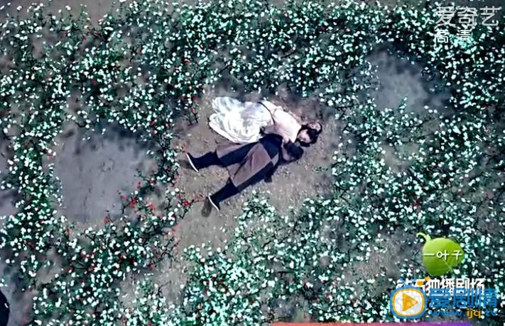 青丘狐傳說劇照