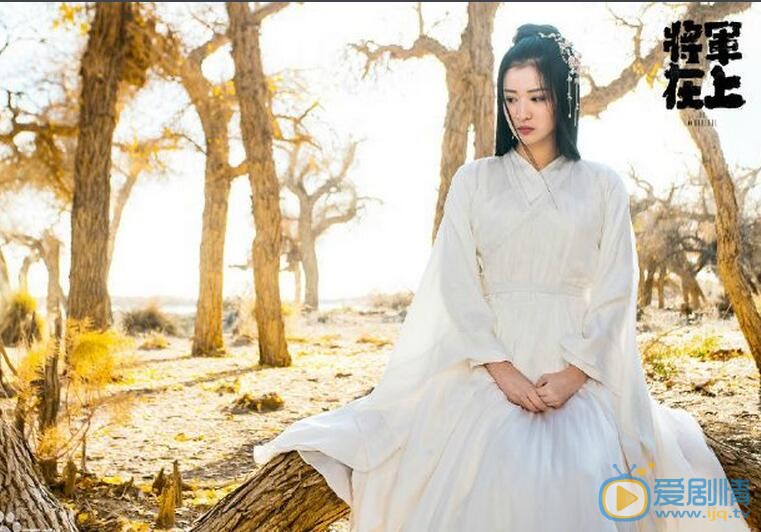 將軍在上柳惜音為什麼喜歡葉昭嗎?柳惜音知道葉昭是女兒身嗎?