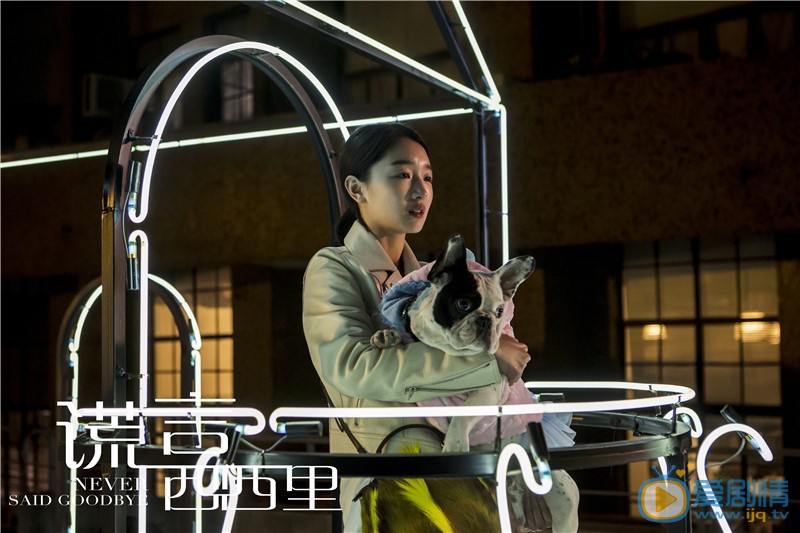 謊言西西里劇情介紹