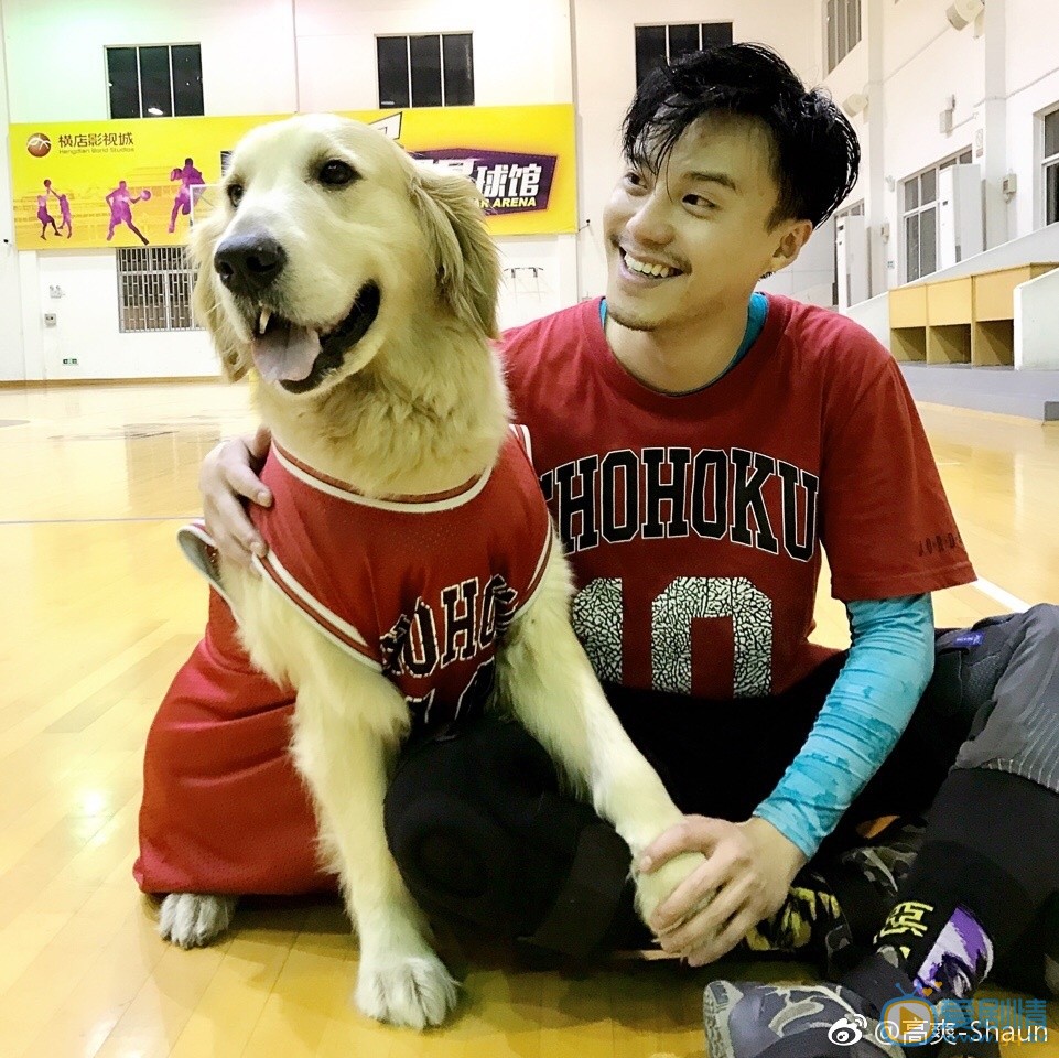 高爽個人資料簡介 高爽生活照