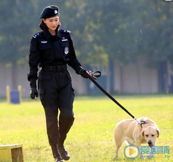 警花與警犬劇照
