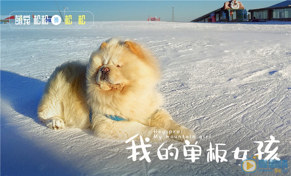 我的單板女孩什麼時間播_我的單板女孩播出時間