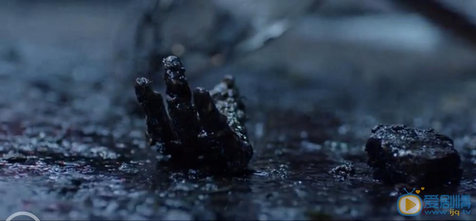 法醫秦明劇情介紹  法醫秦明劇照