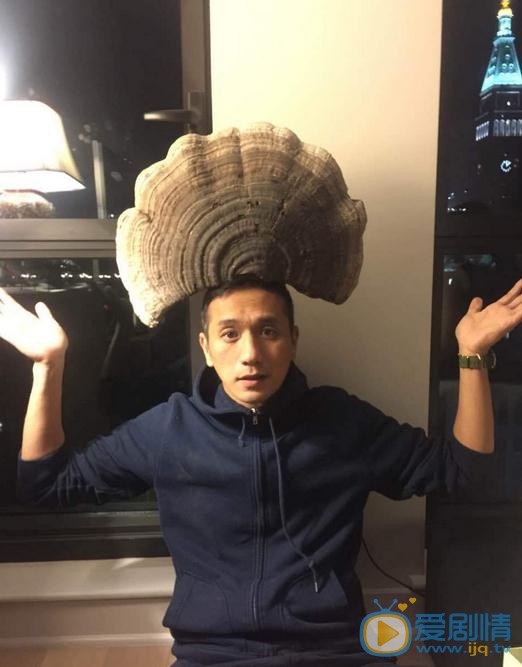 愛情萬萬歲劇照