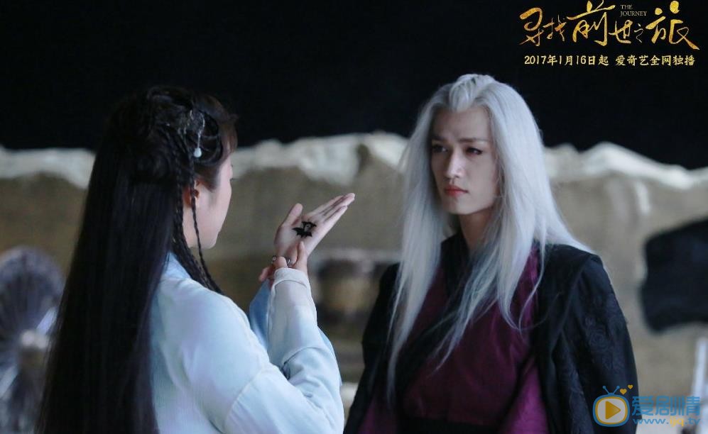 尋找前世之旅劇照