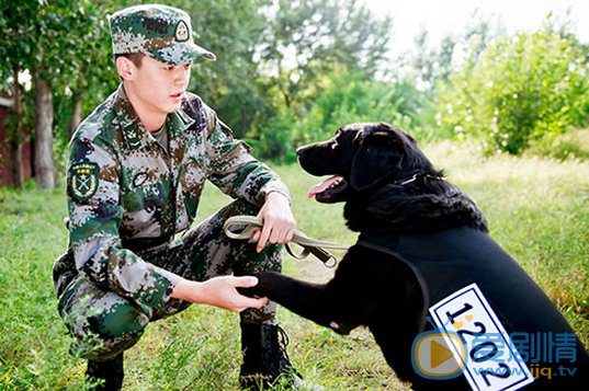 王煜《神犬奇兵》飾演熊雄劇照   王煜個人資料簡介