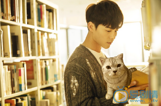 涼生我們可不可以不憂傷什麼時間播出?在哪個台播?播出時間及平台介紹