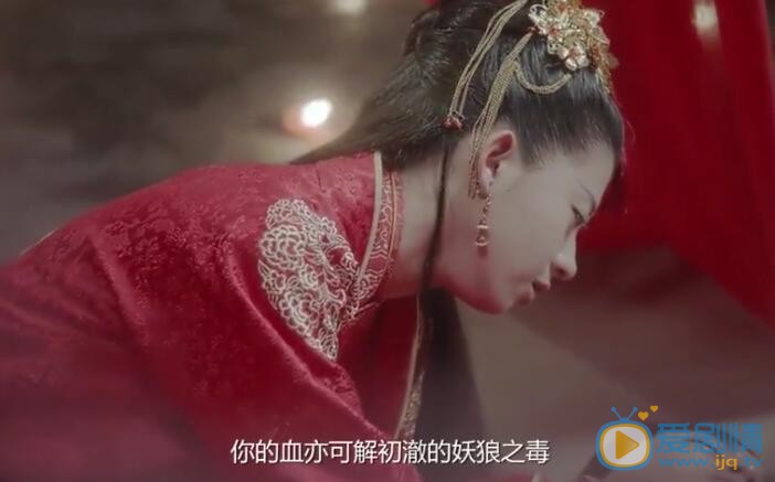 等到煙暖雨收劇照