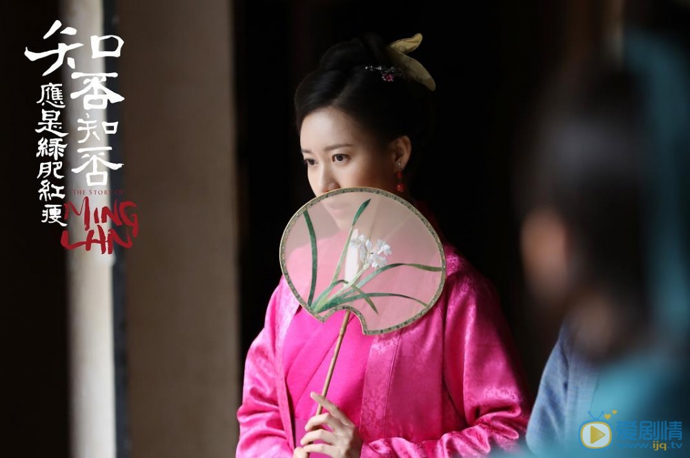 知否知否應是綠肥紅瘦小蝶有沒有偷盜衛娘子財務？小蝶有沒有被打死？