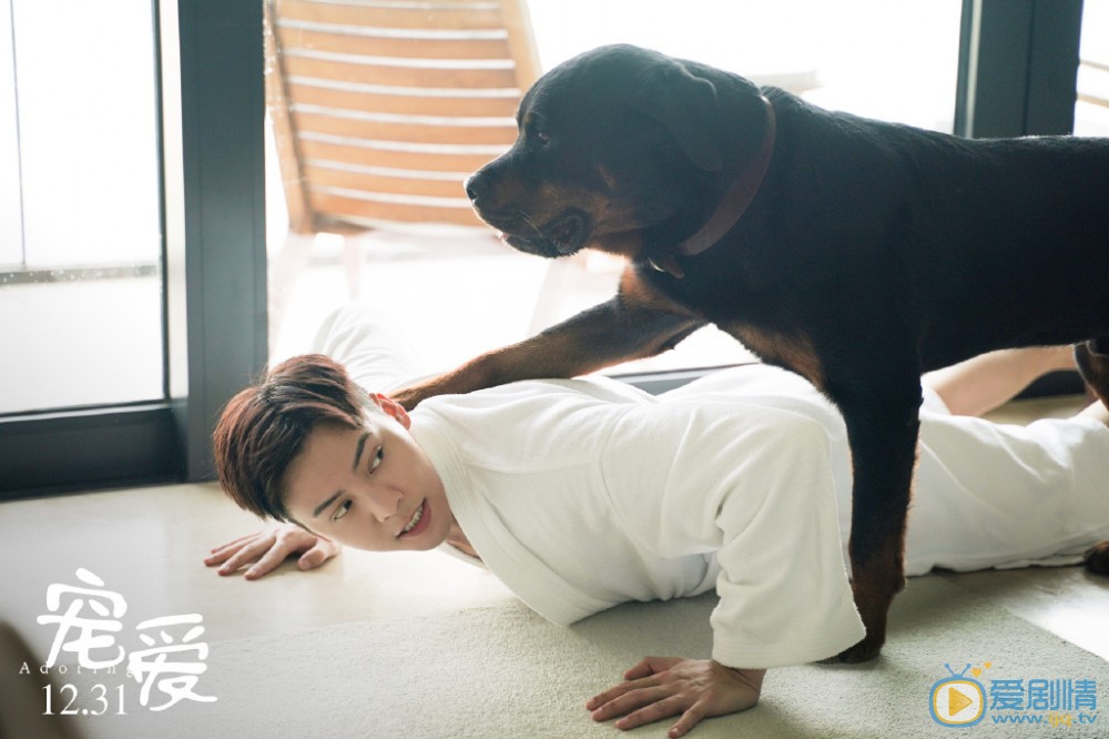 《寵愛》電影劇情介紹