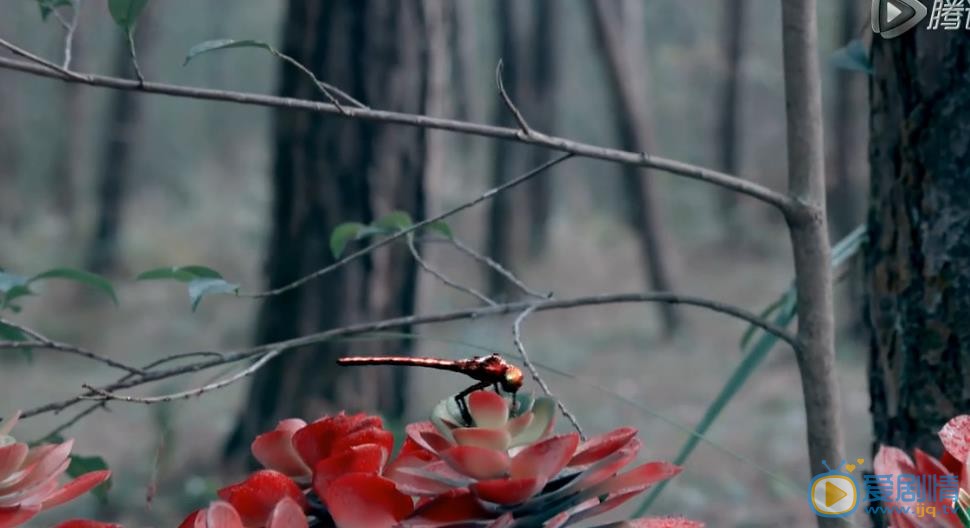 青雲志劇情介紹 青雲志劇照
