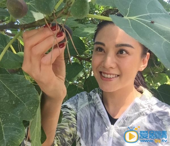 劉海戲金蟾莫彤扮演者廖碧兒寫真及生活照欣賞