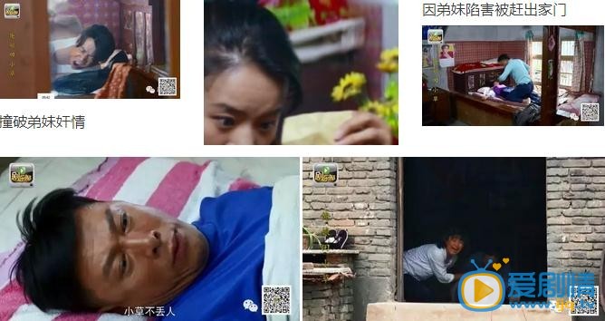 俺娘田小草劇照